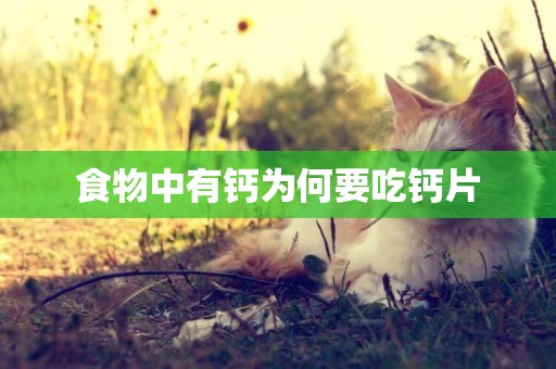 食物中有鈣為何要吃鈣片