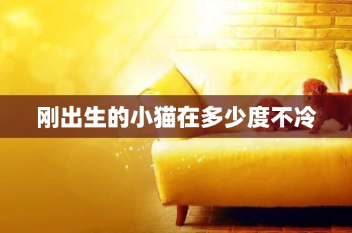 剛出生的小貓在多少度不冷