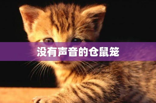 沒有聲音的倉鼠籠