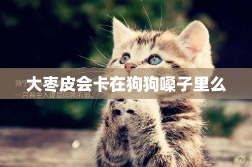 大棗皮會卡在狗狗嗓子里么