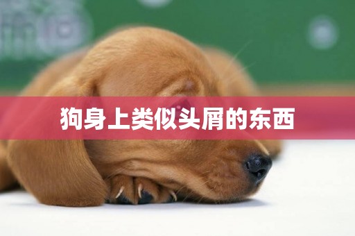 狗身上類似頭屑的東西