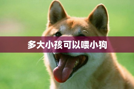 多大小孩可以喂小狗