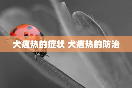 犬瘟熱的癥狀 犬瘟熱的防治