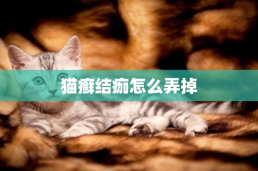 貓癬結痂怎么弄掉