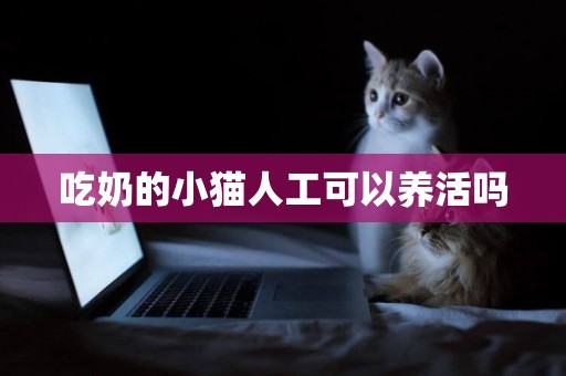 吃奶的小貓人工可以養活嗎