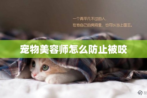 寵物美容師怎么防止被咬
