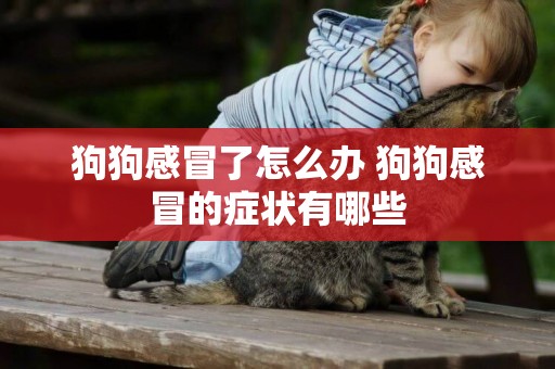 狗狗感冒了怎么辦 狗狗感冒的癥狀有哪些