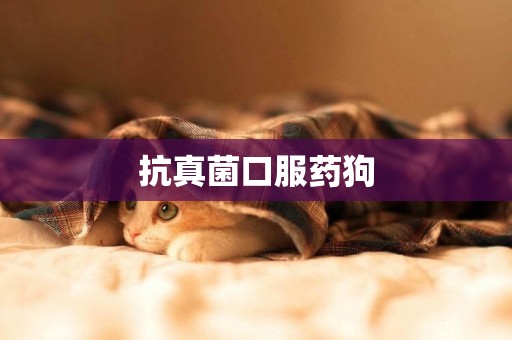 抗真菌口服藥狗