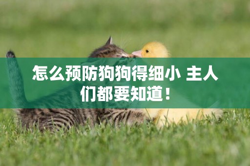 怎么預防狗狗得細小 主人們都要知道！