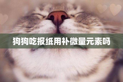 狗狗吃報紙用補微量元素嗎