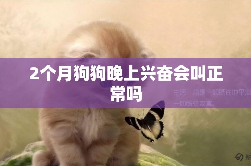 2個月狗狗晚上興奮會叫正常嗎