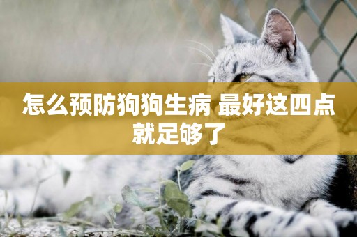 怎么預防狗狗生病 最好這四點就足夠了