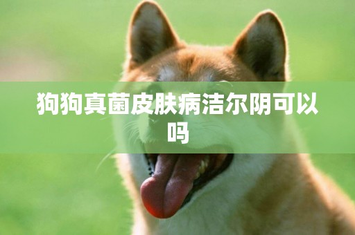 狗狗真菌皮膚病潔爾陰可以嗎