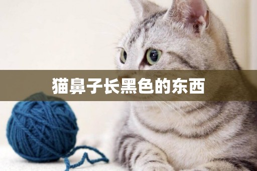 貓鼻子長黑色的東西