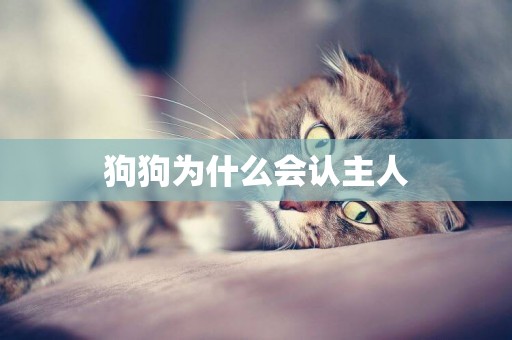 狗狗為什么會認主人