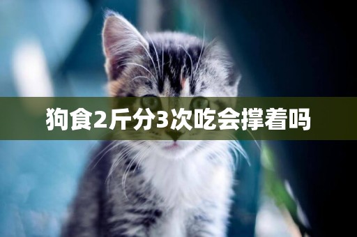 狗食2斤分3次吃會撐著嗎
