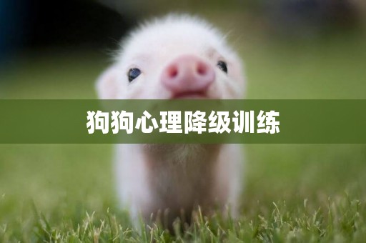 狗狗心理降級訓練