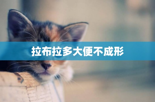 拉布拉多大便不成形