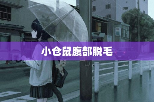 小倉鼠腹部脫毛