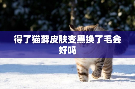 得了貓蘚皮膚變黑換了毛會好嗎