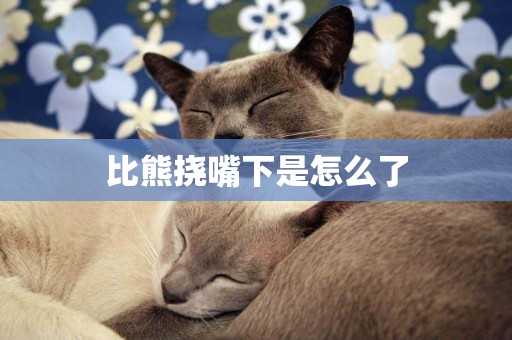 比熊撓嘴下是怎么了