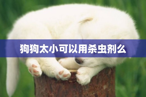 狗狗太小可以用殺蟲劑么