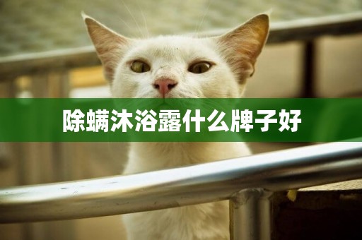 除螨沐浴露什么牌子好