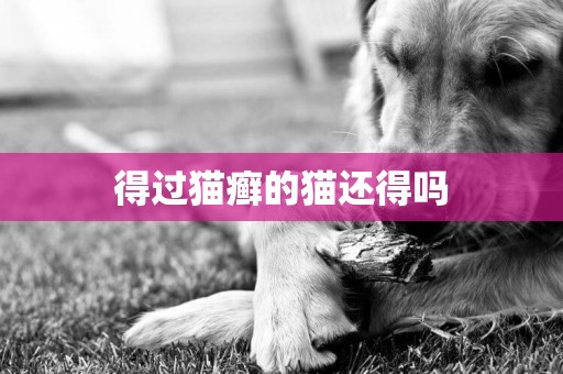 得過貓癬的貓還得嗎