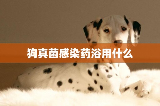 狗真菌感染藥浴用什么