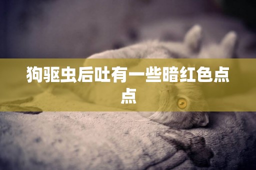 狗驅蟲后吐有一些暗紅色點點