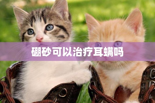 硼砂可以治療耳螨嗎