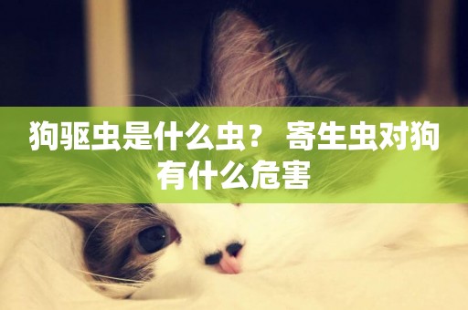 狗驅蟲是什么蟲？ 寄生蟲對狗有什么危害