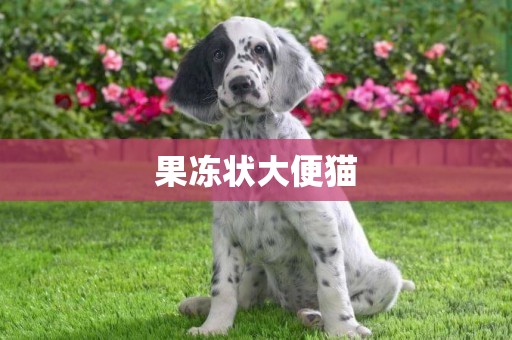 果凍狀大便貓