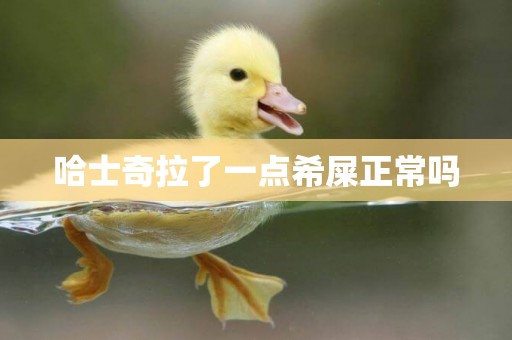 哈士奇拉了一點希屎正常嗎
