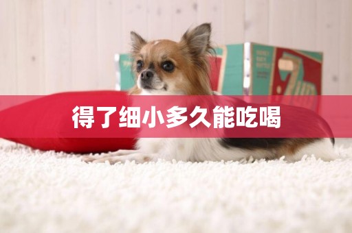得了細小多久能吃喝