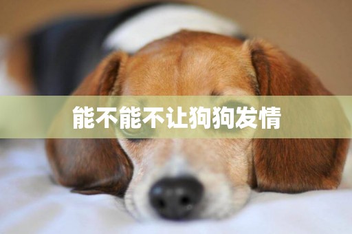 能不能不讓狗狗發情