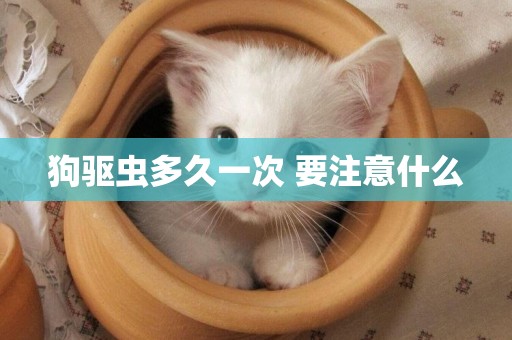 狗驅蟲多久一次 要注意什么