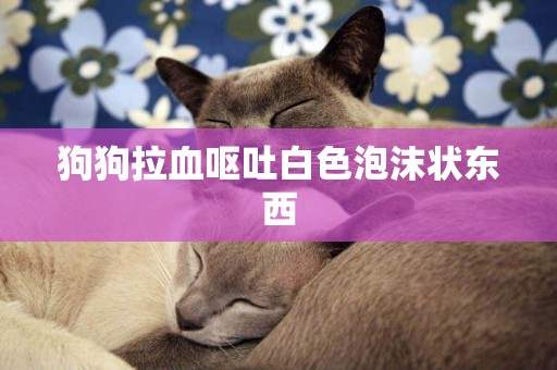 狗狗拉血嘔吐白色泡沫狀東西