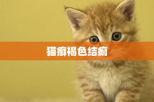 貓癬褐色結痂