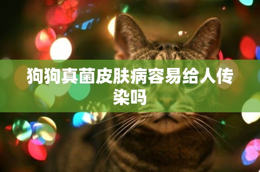 狗狗真菌皮膚病容易給人傳染嗎