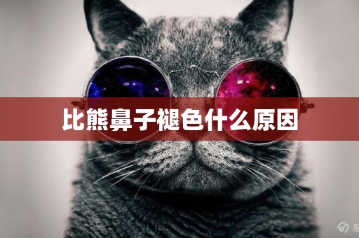 比熊鼻子褪色什么原因