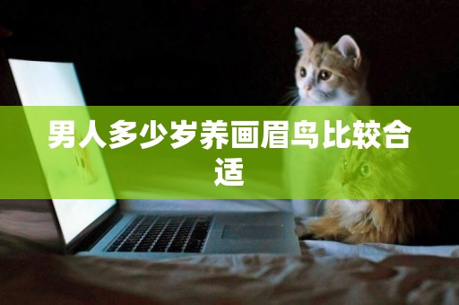 男人多少歲養畫眉鳥比較合適