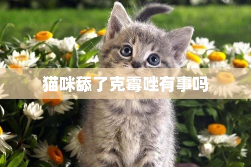 貓咪舔了克霉唑有事嗎