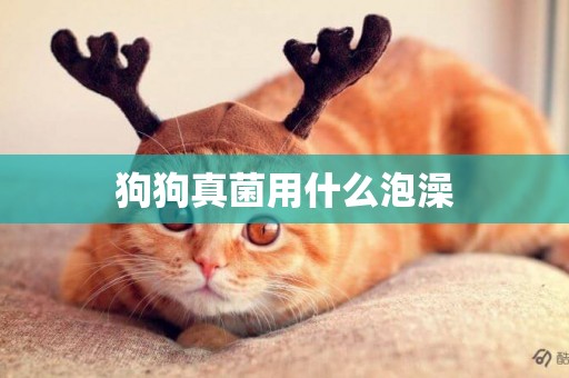 狗狗真菌用什么泡澡