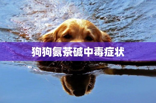 狗狗氨茶堿中毒癥狀