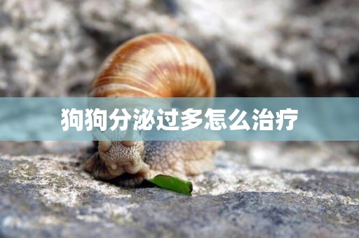 狗狗分泌過多怎么治療