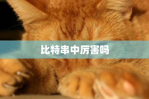 比特串中厲害嗎