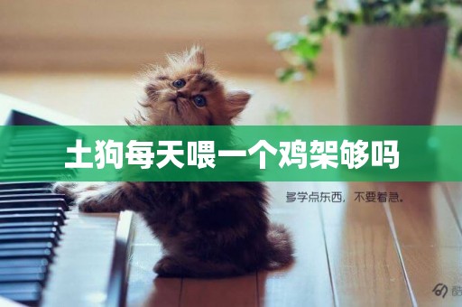 土狗每天喂一個雞架夠嗎