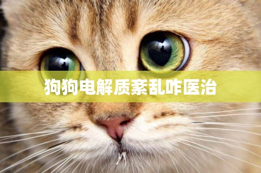 狗狗電解質紊亂咋醫治