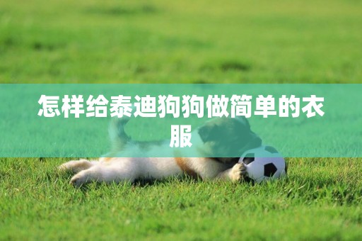 怎樣給泰迪狗狗做簡單的衣服